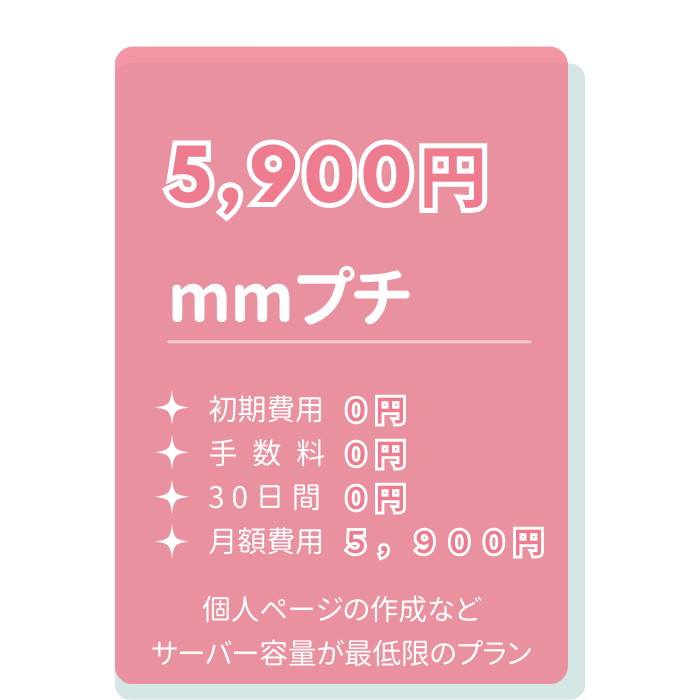 料金プラン mmプチ 5,900円